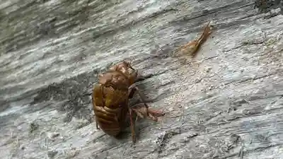 秩父札所三十二番　法性寺(埼玉県)