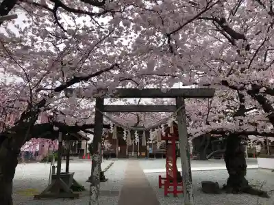 七郷神社の{uncategorized: "未分類", other: "その他", undefined: "問題あり", building: "その他建物", grave: "お墓", sacred_gate: "鳥居", guardian: "狛犬", statue: "像", buddha: "仏像", history: "歴史", nature: "自然", garden: "庭園", animal: "動物", pagoda: "塔", temizu: "手水舎", mountain_gate: "山門・神門", sanctuary: "本殿・本堂", subordinate: "末社・摂社", art: "芸術", scenery: "景色", jizo: "地蔵", ema: "絵馬", goshuin: "御朱印", omikuji: "おみくじ", items: "授与品その他", amulet: "お守り", goshuincho: "御朱印帳", eats: "食事", festival: "お祭り", votive_dance: "神楽", shichigosan: "七五三参", wedding: "結婚式", experience: "体験その他", initially: "初詣", around: "周辺", anti_infection: "感染症対策"}