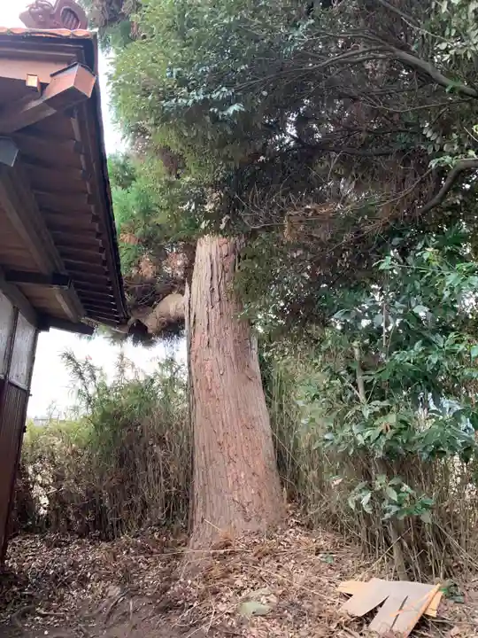 水神宮(千葉県)