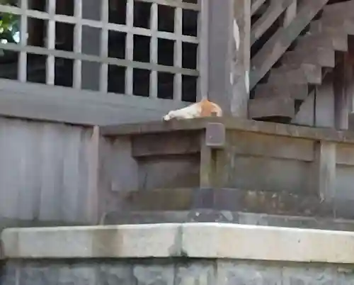 諏訪神社(福島県)