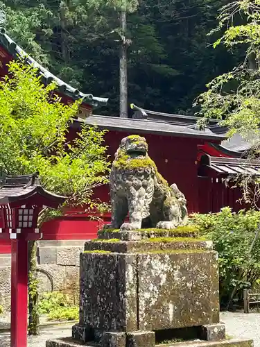 箱根神社の狛犬