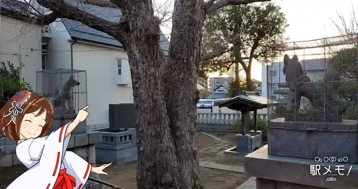 三谷稲荷神社の自然