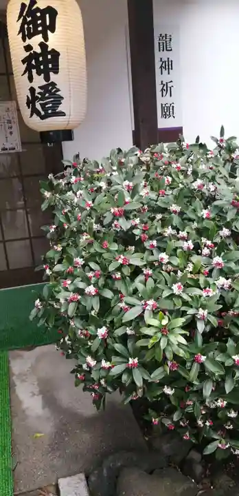 阿蘇白水龍神權現~白蛇神社~のその他建物