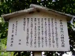 宇主山(薄山)の幡龍王の歴史