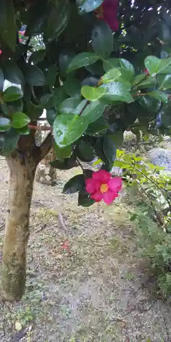 大鏑神社の自然