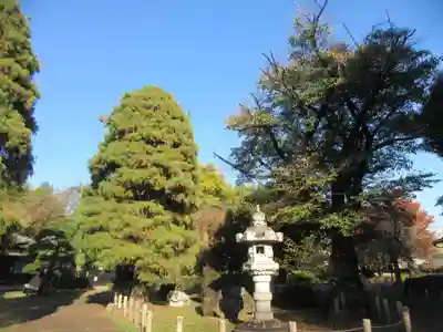 南蔵院(東京都)