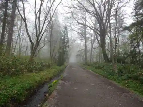 戸隠神社奥社(長野県)