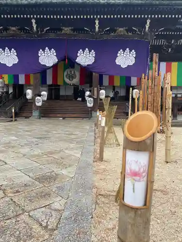 本山専修寺のお祭り