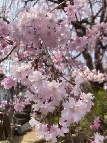 多治速比売神社の庭園