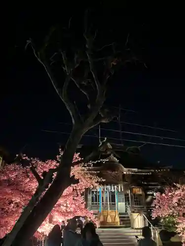 桜神宮(東京都)