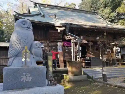 野木神社の狛犬