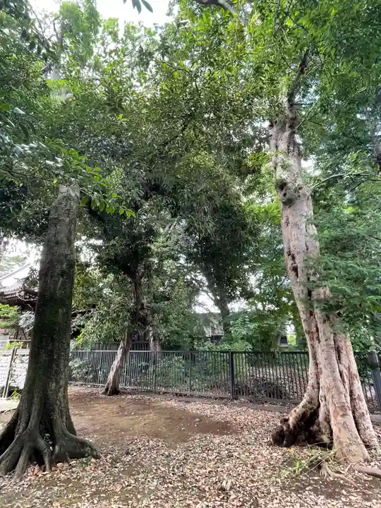 中町天祖神社の周辺