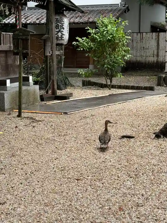 建部大社(滋賀県)
