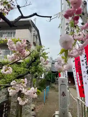 出世稲荷神社の{uncategorized: "未分類", other: "その他", undefined: "問題あり", building: "その他建物", grave: "お墓", sacred_gate: "鳥居", guardian: "狛犬", statue: "像", buddha: "仏像", history: "歴史", nature: "自然", garden: "庭園", animal: "動物", pagoda: "塔", temizu: "手水舎", mountain_gate: "山門・神門", sanctuary: "本殿・本堂", subordinate: "末社・摂社", art: "芸術", scenery: "景色", jizo: "地蔵", ema: "絵馬", goshuin: "御朱印", omikuji: "おみくじ", items: "授与品その他", amulet: "お守り", goshuincho: "御朱印帳", eats: "食事", festival: "お祭り", votive_dance: "神楽", shichigosan: "七五三参", wedding: "結婚式", experience: "体験その他", initially: "初詣", around: "周辺", anti_infection: "感染症対策"}