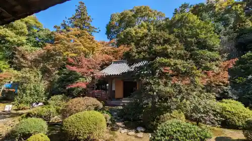 隨心院（随心院）(京都府)