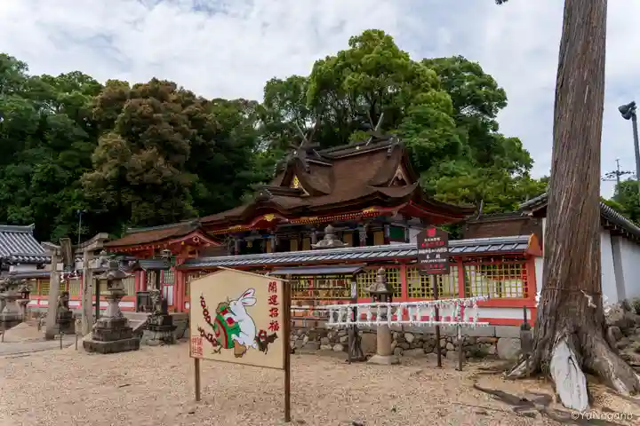 錦織神社(大阪府)