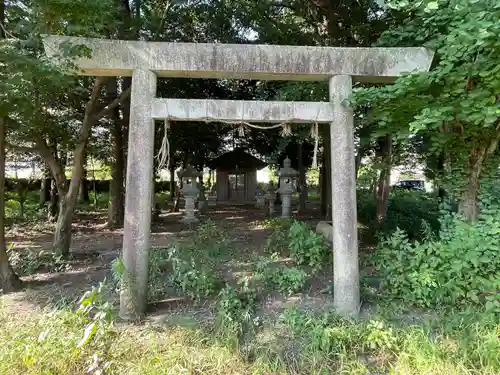 椿一宮神社の鳥居