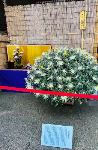 湯島天満宮(東京都)