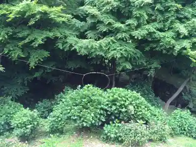 東大寺別院阿弥陀寺(山口県)