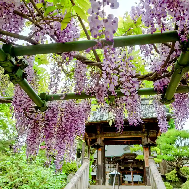 清宝院(東京都)