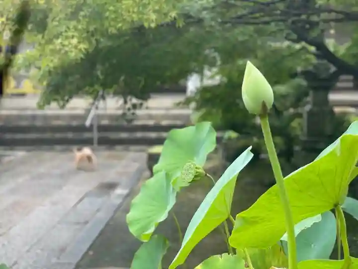 伊勢の国 四天王寺(三重県)