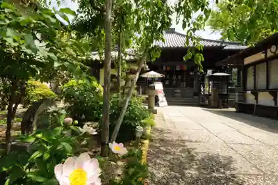 立江寺(徳島県)