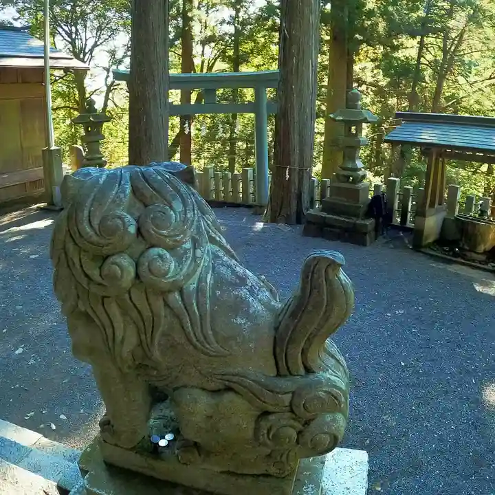 九頭龍神社の狛犬