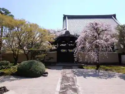 妙顯寺（妙顕寺）(京都府)