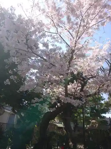 菊田神社の自然