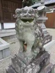 八所御霊神社の狛犬