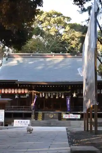 平塚八幡宮の本殿・本堂