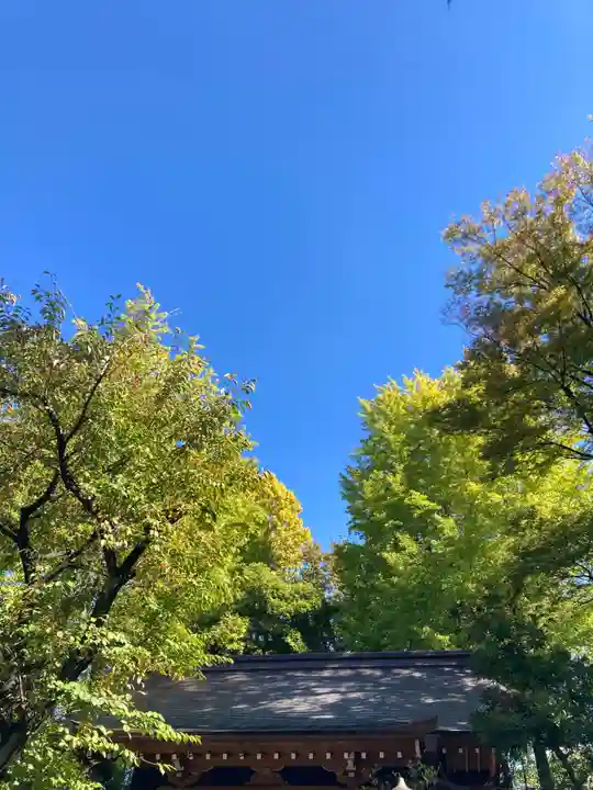 仲町氷川神社(東京都)