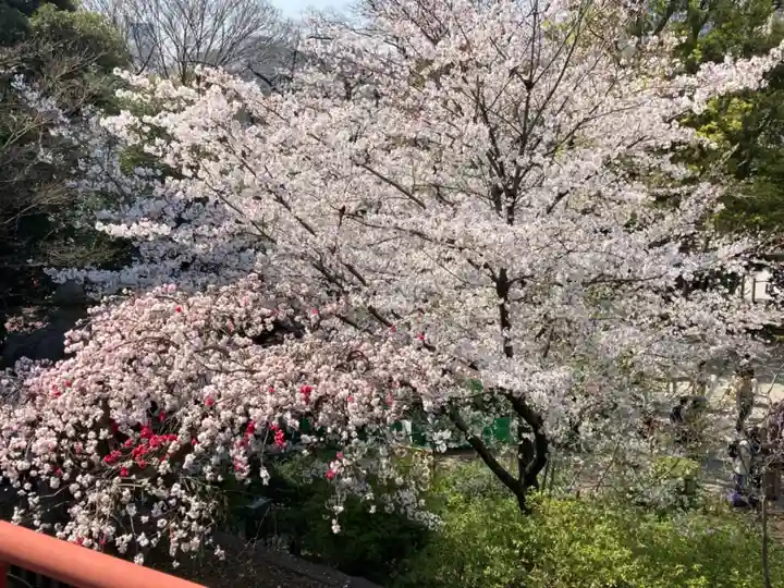 清水観音堂の自然