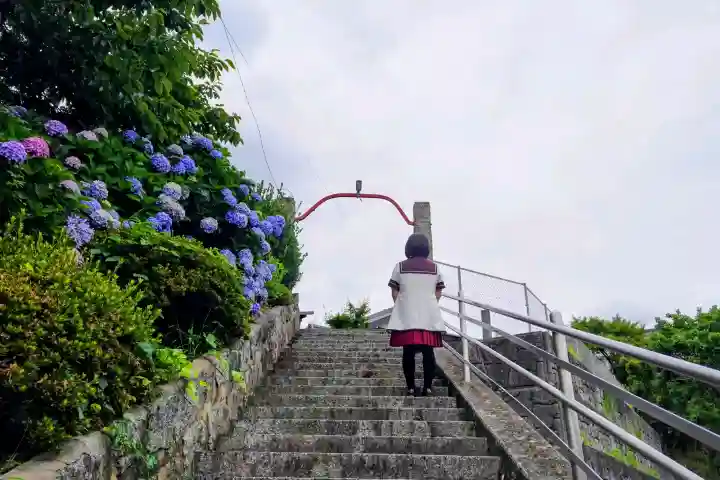 妙見寺(愛知県)