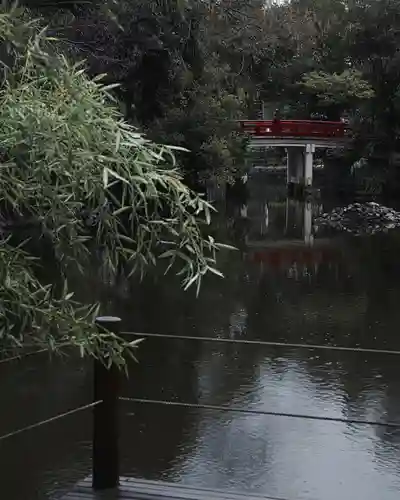武蔵一宮氷川神社(埼玉県)