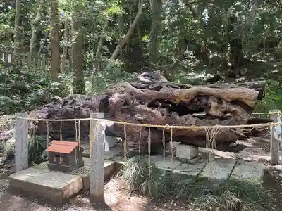 泉神社(茨城県)