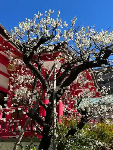 成子天神社(東京都)