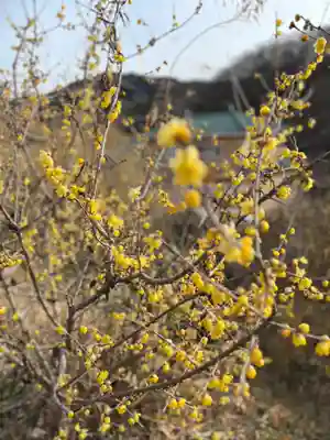 成身院 百体観音堂(さざえ堂)(埼玉県)