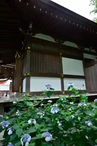 高幡不動尊　金剛寺(東京都)