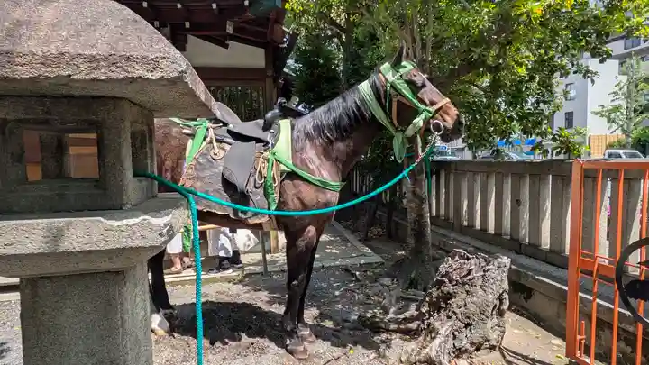 熊野神社(京都府)