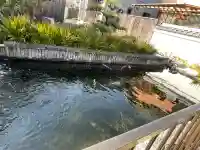 誓昌院の{uncategorized: "未分類", other: "その他", undefined: "問題あり", building: "その他建物", grave: "お墓", sacred_gate: "鳥居", guardian: "狛犬", statue: "像", buddha: "仏像", history: "歴史", nature: "自然", garden: "庭園", animal: "動物", pagoda: "塔", temizu: "手水舎", mountain_gate: "山門・神門", sanctuary: "本殿・本堂", subordinate: "末社・摂社", art: "芸術", scenery: "景色", jizo: "地蔵", ema: "絵馬", goshuin: "御朱印", omikuji: "おみくじ", items: "授与品その他", amulet: "お守り", goshuincho: "御朱印帳", eats: "食事", festival: "お祭り", votive_dance: "神楽", shichigosan: "七五三参", wedding: "結婚式", experience: "体験その他", initially: "初詣", around: "周辺", anti_infection: "感染症対策"}