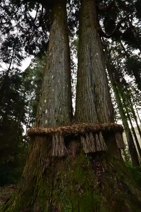 中畑神社(宮崎県)