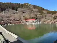 勝尾寺の{uncategorized: "未分類", other: "その他", undefined: "問題あり", building: "その他建物", grave: "お墓", sacred_gate: "鳥居", guardian: "狛犬", statue: "像", buddha: "仏像", history: "歴史", nature: "自然", garden: "庭園", animal: "動物", pagoda: "塔", temizu: "手水舎", mountain_gate: "山門・神門", sanctuary: "本殿・本堂", subordinate: "末社・摂社", art: "芸術", scenery: "景色", jizo: "地蔵", ema: "絵馬", goshuin: "御朱印", omikuji: "おみくじ", items: "授与品その他", amulet: "お守り", goshuincho: "御朱印帳", eats: "食事", festival: "お祭り", votive_dance: "神楽", shichigosan: "七五三参", wedding: "結婚式", experience: "体験その他", initially: "初詣", around: "周辺", anti_infection: "感染症対策"}