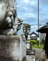 妙法寺(金色不動尊)(茨城県)