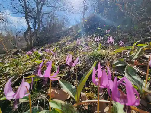 長徳寺(岩手県)