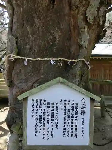 根香寺の歴史