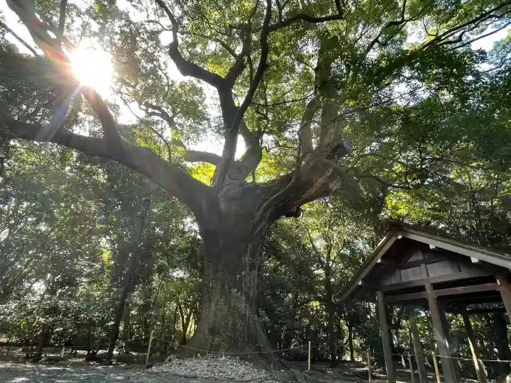 月夜見宮(豊受大神宮別宮)の{uncategorized: "未分類", other: "その他", undefined: "問題あり", building: "その他建物", grave: "お墓", sacred_gate: "鳥居", guardian: "狛犬", statue: "像", buddha: "仏像", history: "歴史", nature: "自然", garden: "庭園", animal: "動物", pagoda: "塔", temizu: "手水舎", mountain_gate: "山門・神門", sanctuary: "本殿・本堂", subordinate: "末社・摂社", art: "芸術", scenery: "景色", jizo: "地蔵", ema: "絵馬", goshuin: "御朱印", omikuji: "おみくじ", items: "授与品その他", amulet: "お守り", goshuincho: "御朱印帳", eats: "食事", festival: "お祭り", votive_dance: "神楽", shichigosan: "七五三参", wedding: "結婚式", experience: "体験その他", initially: "初詣", around: "周辺", anti_infection: "感染症対策"}