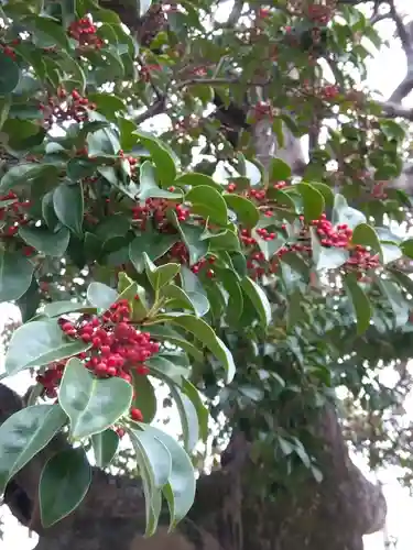 金攫八幡宮(京都府)