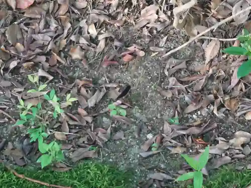 速谷神社(広島県)