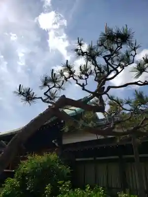 本郷氷川神社(東京都)